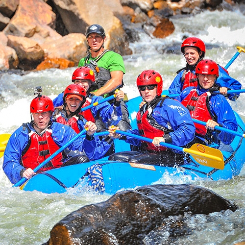 Thing To Do Activities