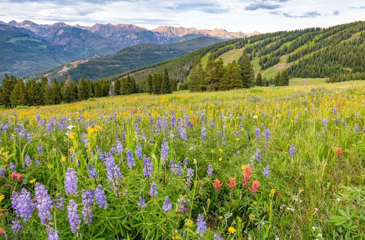 Breckenridge home and mountain view